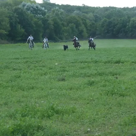 D'hotes Au Mas Du Sire 3* Quissac (Gard)